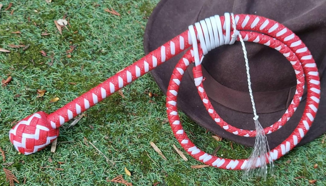 Fouet En Paracorde 4 Pieds - 12 Tresses - Nylon Résistant - Pour Entraînement Ou Spectacle - Marron