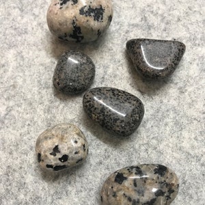 Puede incluir: Una colección de seis piedras pulidas con patrones moteados. Las piedras varían en tamaño y forma, con una mezcla de colores grises, beige y negros. Las superficies lisas de las piedras reflejan la luz, resaltando sus texturas naturales. Estas piedras son ideales para fines decorativos.
