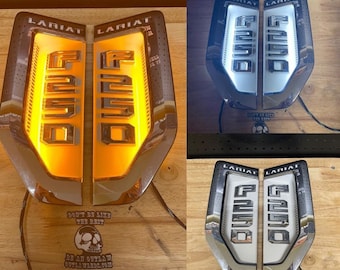 2017-2022 SWITCHBACK FORD SuperDuty Badge Parafango verniciato su misura