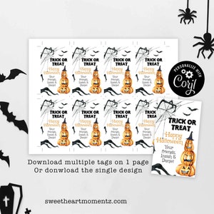 May include: Halloween-themed gift tags with a pumpkin design. Each tag features the text "Trick or Treat" and "Happy Halloween". The tags are printed on a white background with black spiderwebs and bats. The tags are personalized with names.