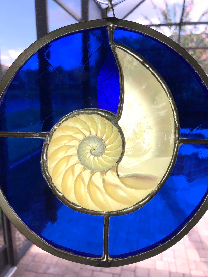 Handmade 7 inches Round Stained Glass Suncatcher with Real Nautilus