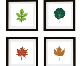 Set of Four Seasons (Spring,Summer,Autumn/Fall,Winter) Leaves -Gallery Wall Art Printable Set -Minimalist Nature Wall Art - White Background