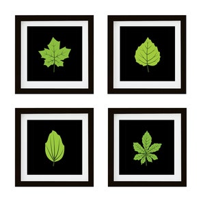 Set of Four Spring (Season) Leaves - Gallery Wall Art Printable Set - Minimalist Nature Wall Art - Black / Dark Background