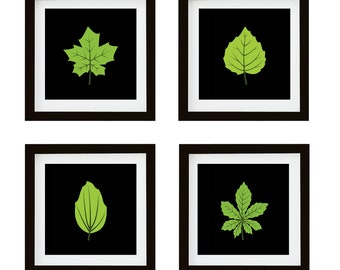 Set of Four Spring (Season) Leaves - Gallery Wall Art Printable Set - Minimalist Nature Wall Art - Black / Dark Background