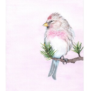 Bird on Branch Original Watercolor Painting, Fine Art Print