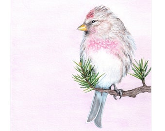 Vogel auf Zweig Original Aquarell, Fine Art Print