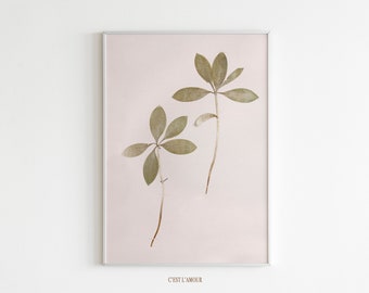 Botanical Print || Plant Leaf Printable || Minimalist Art || Neutral Tones