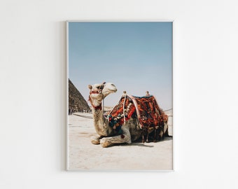 Egyptian Camel Pyramid Print || Egyptian Photo Printable || Egypt Photography