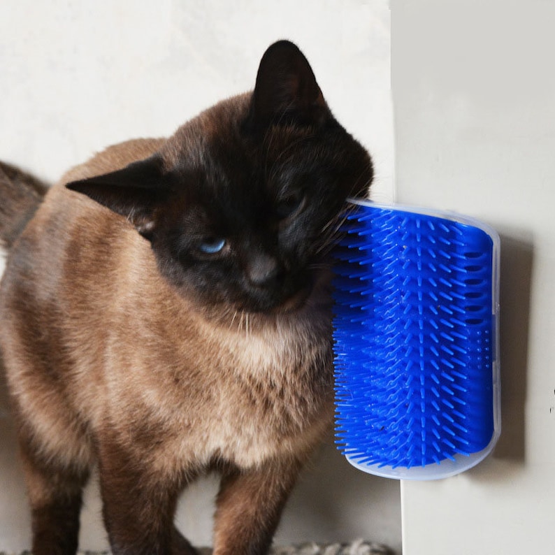 Cat Self Groomer With Catnip Wall Brush Cat Corner Scratcher Face