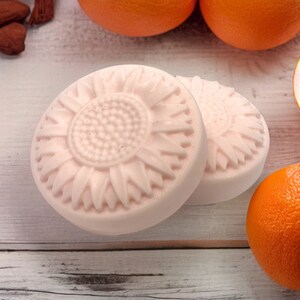 1 Natural Citrus Cocoa Butter Shampoo Bar