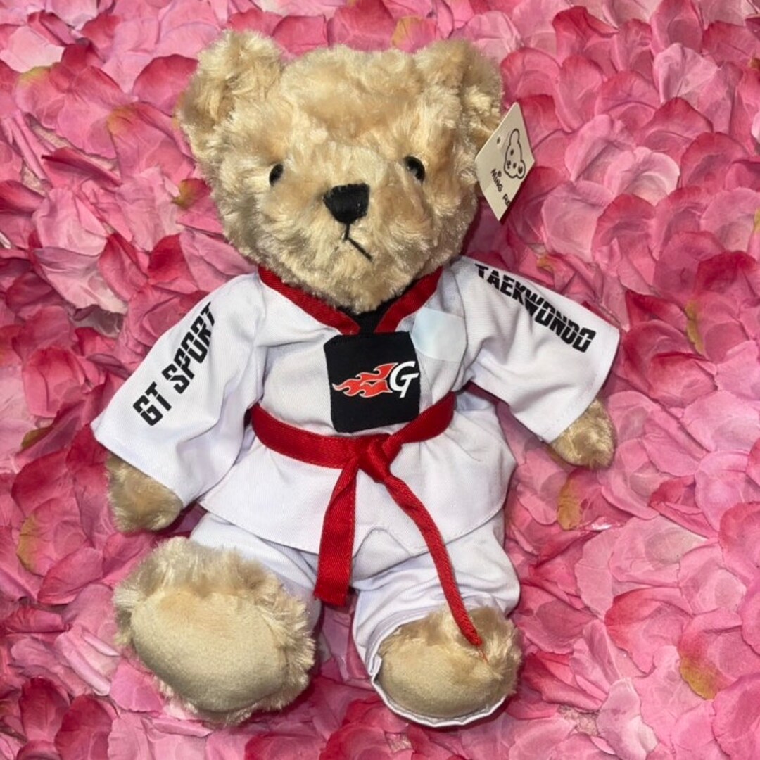 11.5 Custom Taekwondo Martial Arts Bear Etsy