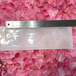 May include: A strip of clear rhinestones on a white backing, with a metal ruler measuring in inches. The rhinestones are of varying sizes and are arranged in a gradient pattern. The background is a pink floral arrangement.