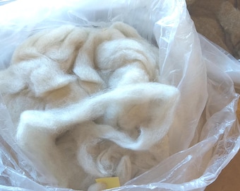 Shetland Sheep roving from Kate - 4 oz