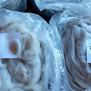 Shetland Sheep & Guardian Dog Roving Ultrasoft 2 ounces