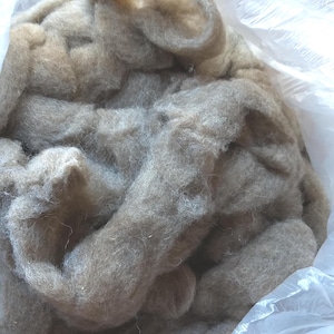 Shetland Sheep roving from Hershey - 4 oz