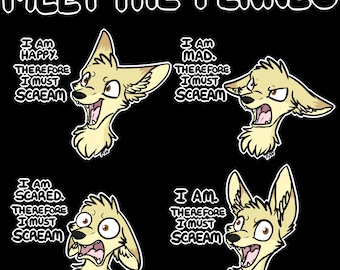 Meet the Fennec T-Shirt