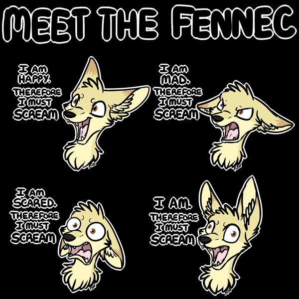 Meet the Fennec T-Shirt