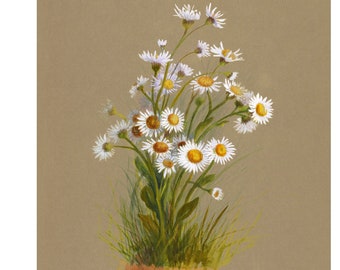 Vintage botanische print met wilde bloemen: wilde bloemen bloemenmuurkunst