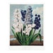 see more listings in the Fleurs Imprimé botanique section