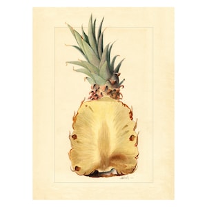 Vintage Pineapple Botanical Print, Antique Tropical Fruit Illustration, Kitchen Wall Art Print, Exotic Plant Poster, Printed Wall Decor