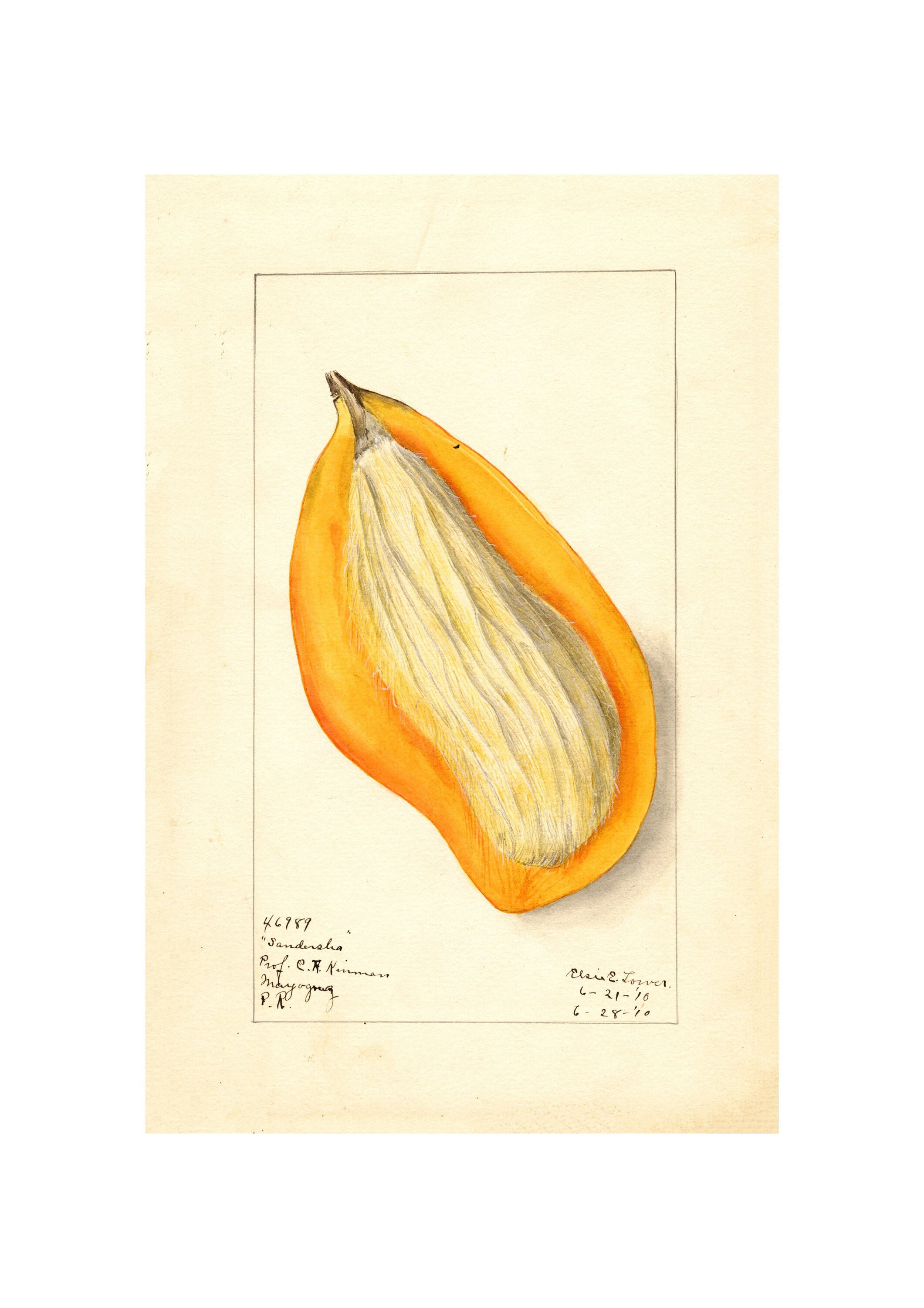 Impresión de arte de la pared de la cocina acuarela arte | Etsy