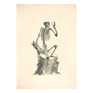 Vintage Sitting Skeleton Anatomy Wall Art Poster Print, Gift for Doctor