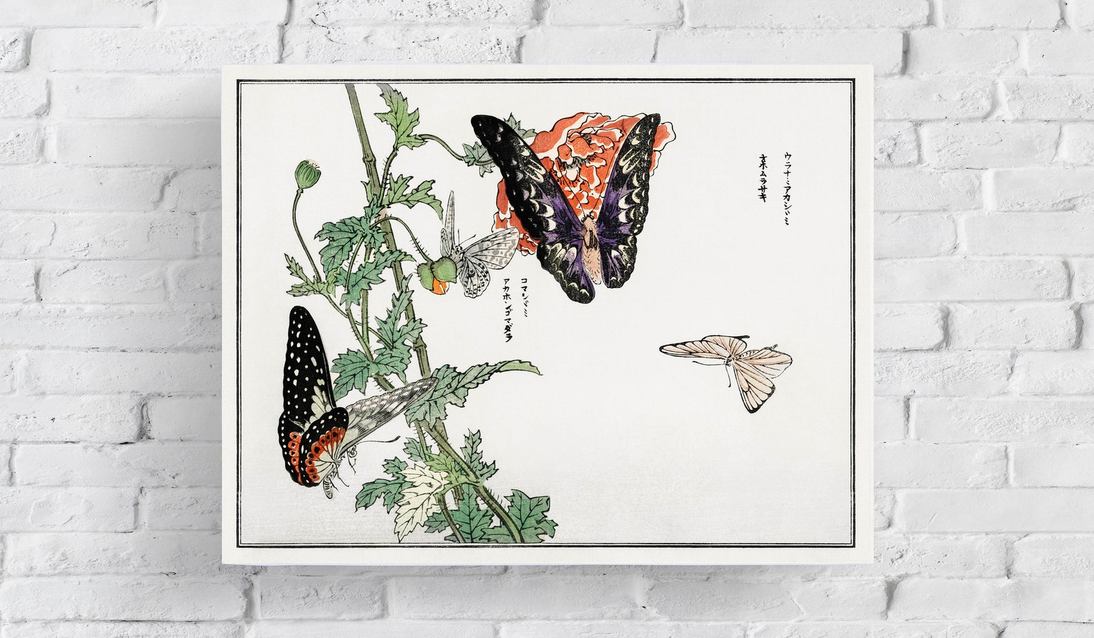Vintage Japan Botanical Flower and Butterfly Wall Art Poster Print ...