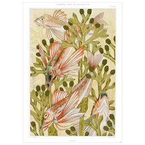 Può includere: Un'illustrazione vintage di tre pesci che nuotano tra alghe verdi. I pesci sono arancioni, rosa e bianchi con squame e pinne dettagliate. L'illustrazione è intitolata "L'Animal Dans La Decoration" e "Rodier".