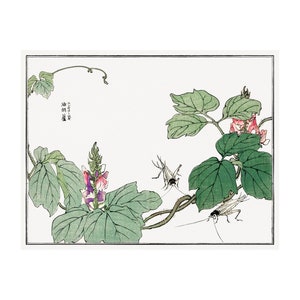 Vintage Japanese Botanical Flower Wall Art Poster Print, Japan Floral Plant Print par Morimoto Toko
