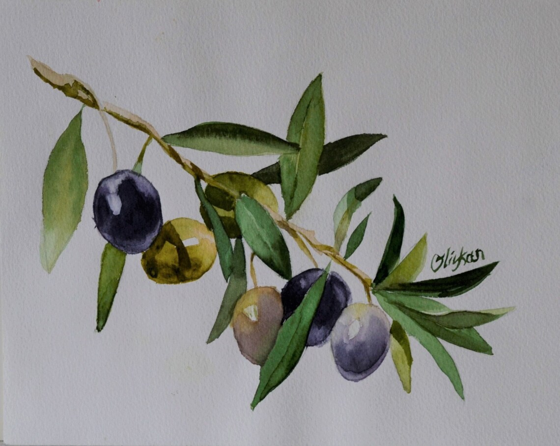 Olive Branch Painting 12 ORIGINAL Watercolor Painting Etsy