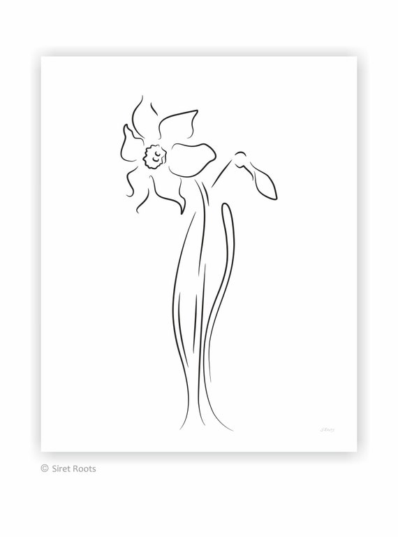 Featured image of post Line Drawing Simple Daffodil Drawing