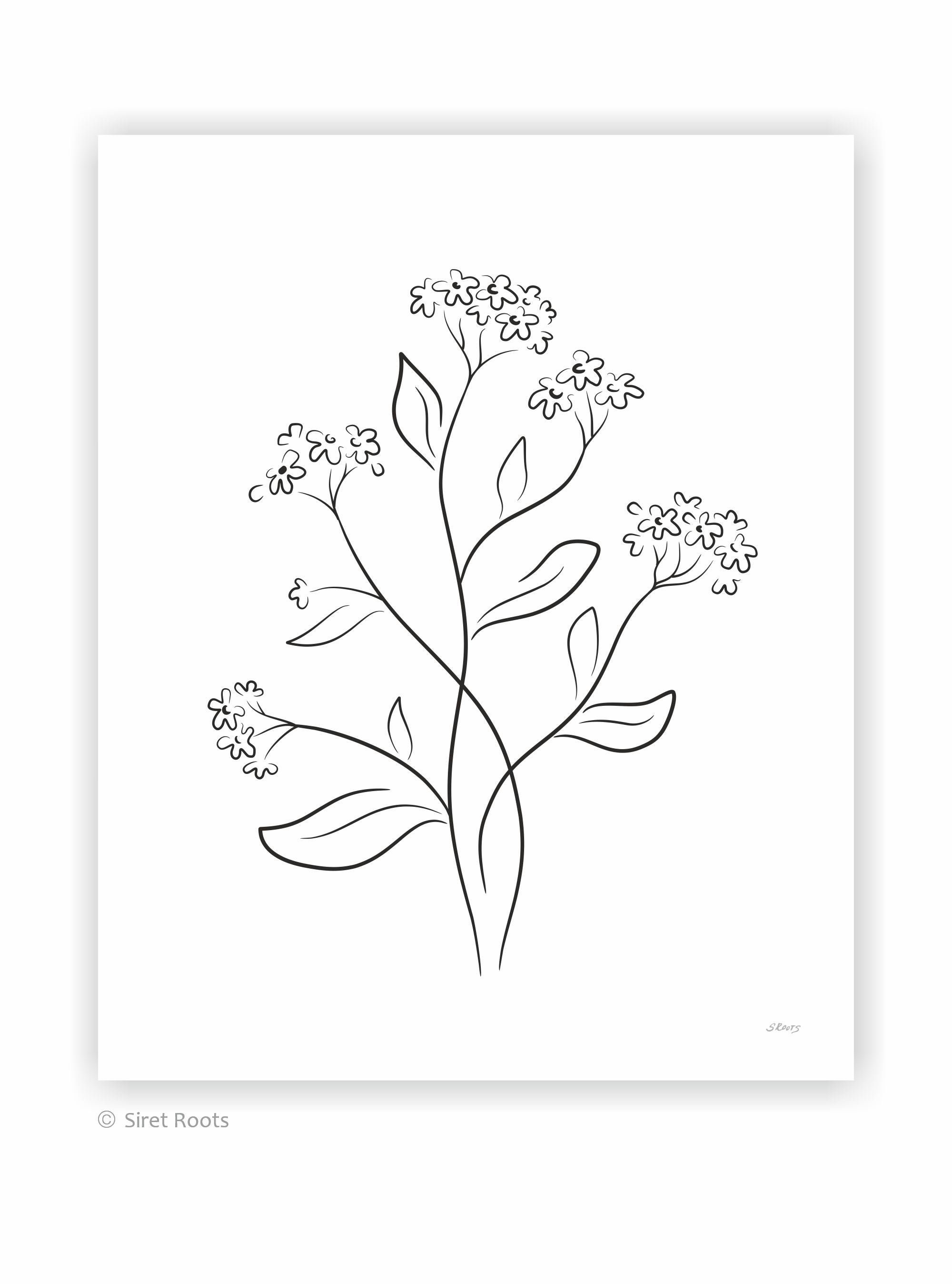 Forget Me Not Flowers Drawing Minimalist Line Art Print Etsy
