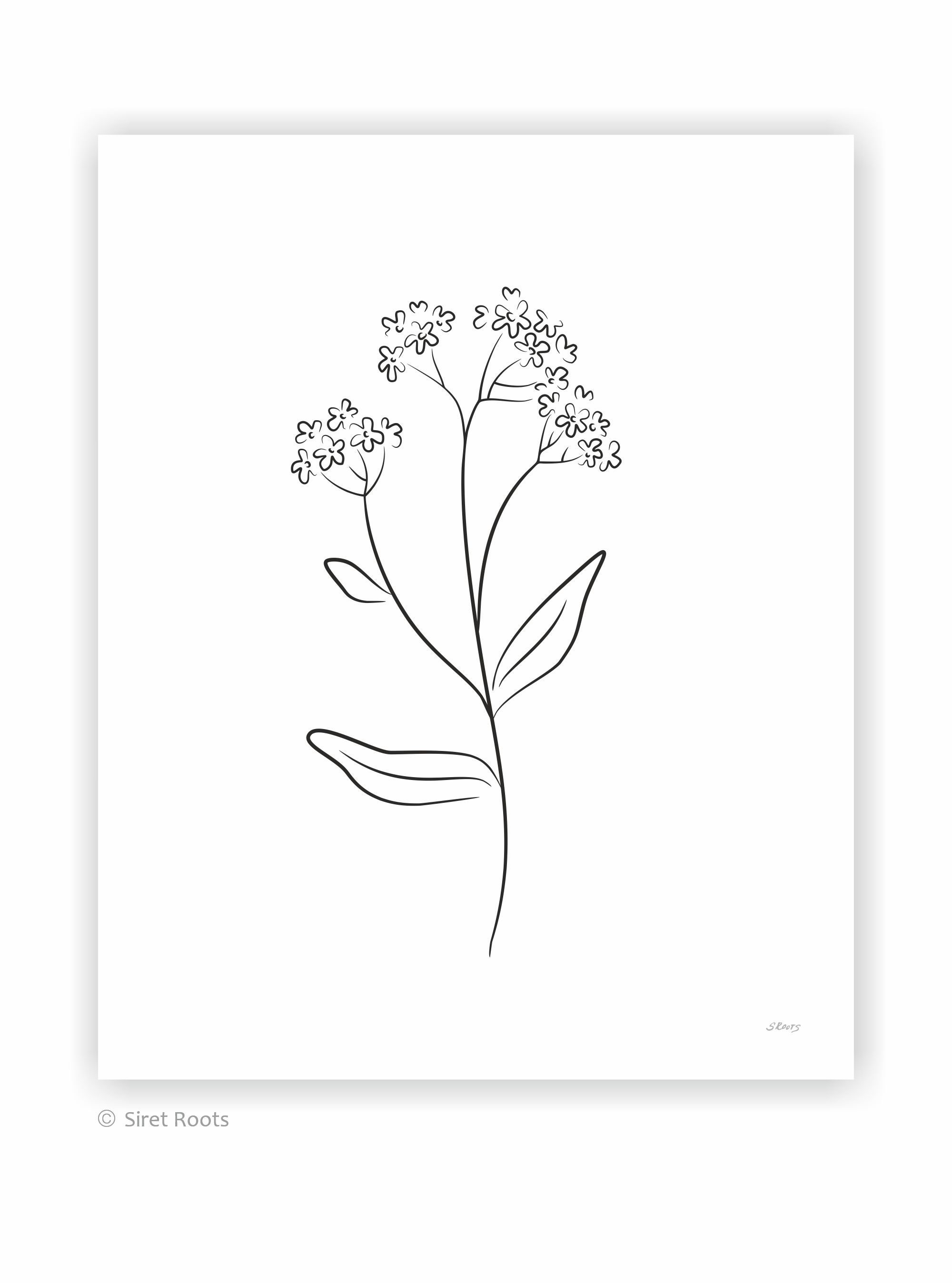 Forget Me Not Flowers Drawing Minimalist Line Art Print Etsy