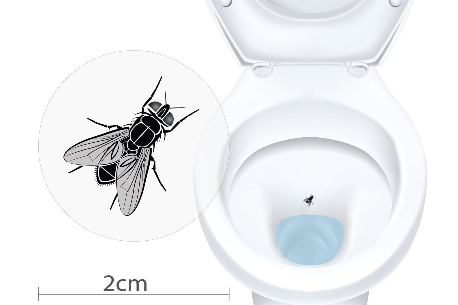 Urinal Fly Bulk Pack Toilet Target Stickers / Urinal Aiming Etsy