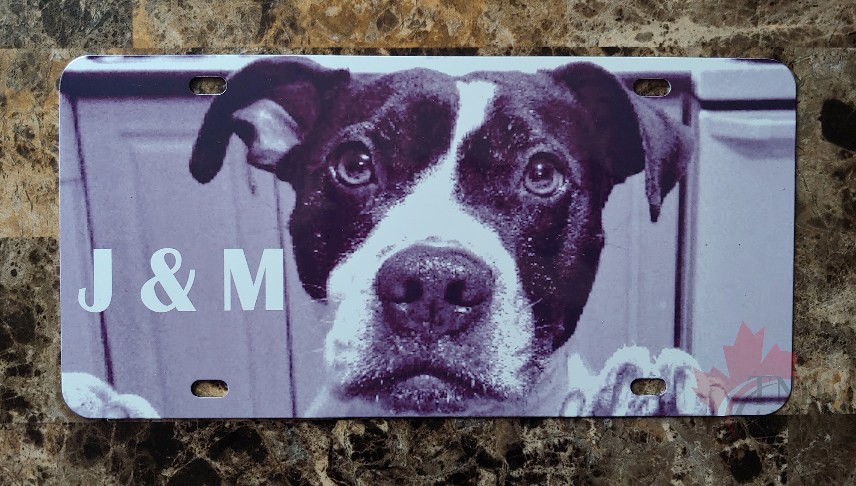 Custom Novelty License Plate Vanity License Plate Front Etsy