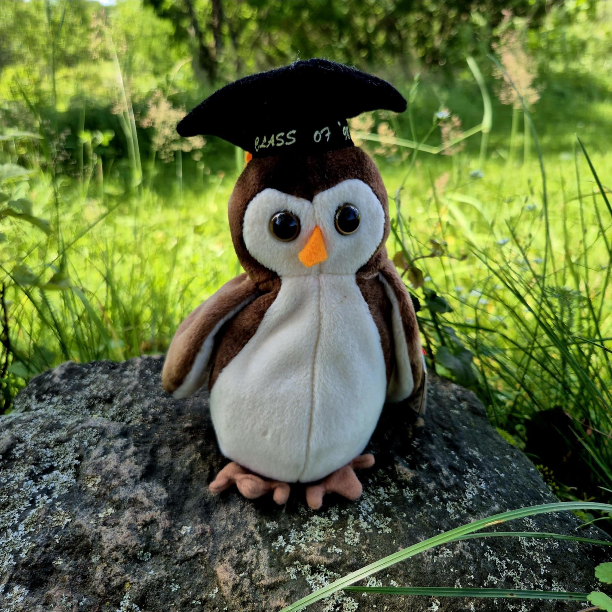 TY Beanie Baby "Wise" Owl, Class of '98, Graduation Gift, Vintage 1998 Plush, TY Origi