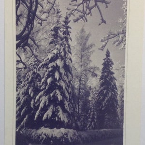 Vintage julkort med vinterskog, Lettland