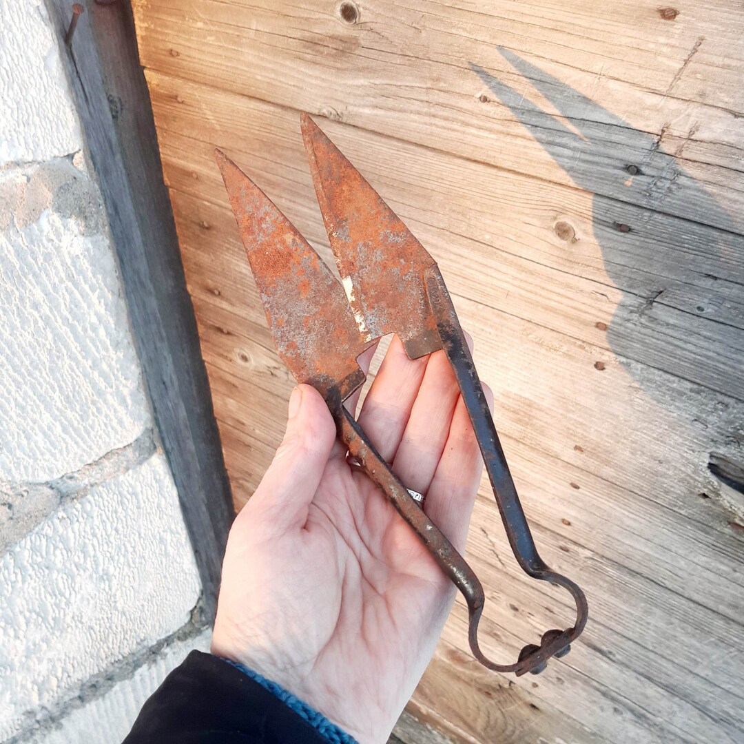 Antique Sheep Shears, Old Metal Scissors, Primitive Hand Sheep Scissors
