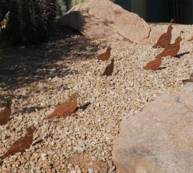 Rustic Metal Quail Family Set of 5 Rusted Yard Decor FREE Etsy