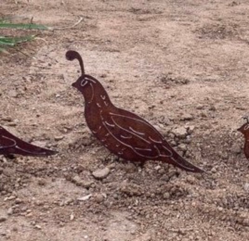 Rustic Metal Quail Family Set of 5 Rusted Yard Decor FREE Etsy
