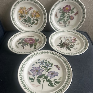 Original 1972 Portmeirion Botanic Garden Large Dinner Plate 10.5 Etsy Canada