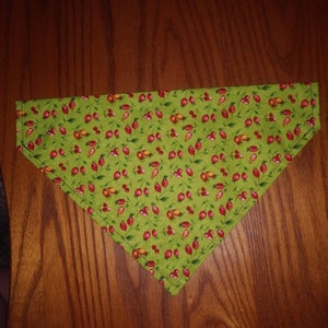 May include: A green fabric dog bandana with a red and orange floral pattern. The bandana is triangular in shape and has a white border.