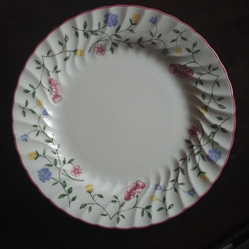 Vintage Johnson Bros Summer Chintz Plate Summer Flowers Side Etsy