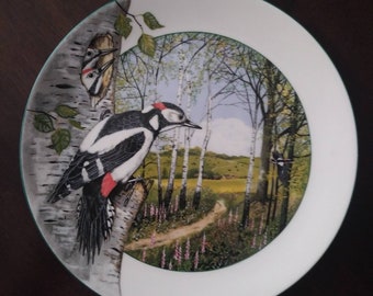 Vintage Royal Doulton bird plate, Woodland Woodpecker plate, Mother's Day Gift, Bird Watchers gift,