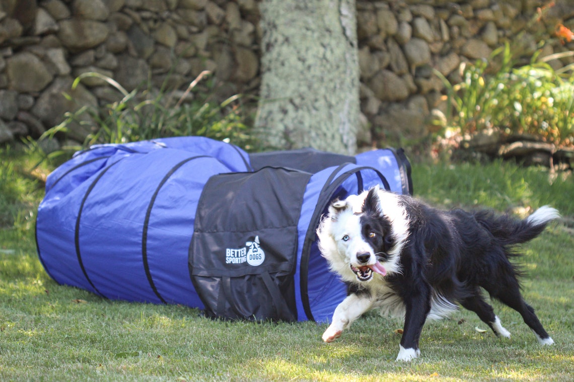 Better Sporting Dogs 10 Foot Dog Agility Tunnel with Sandbags Etsy