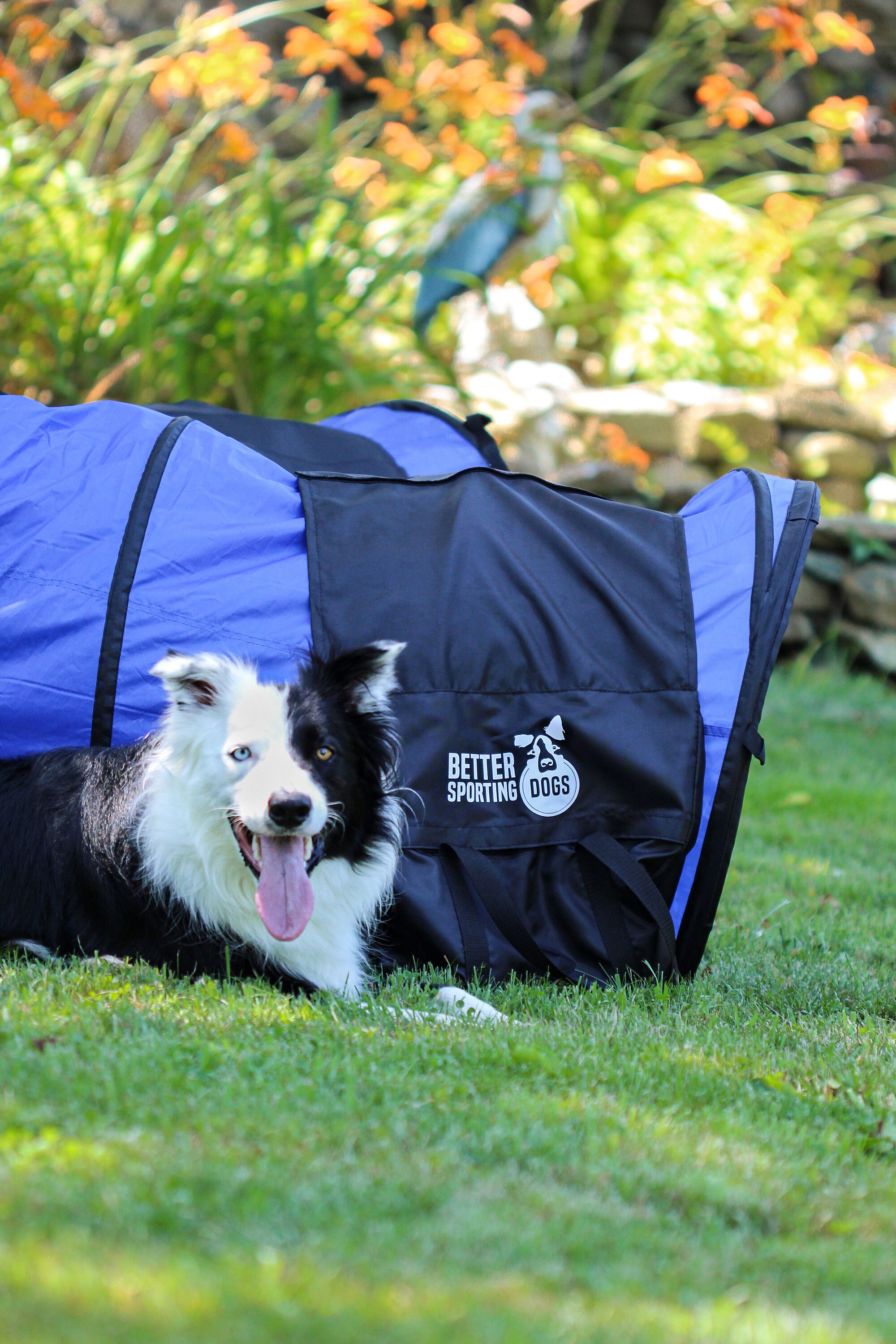Better Sporting Dogs Pack of 2 Dog Agility Tunnel Sandbags Etsy