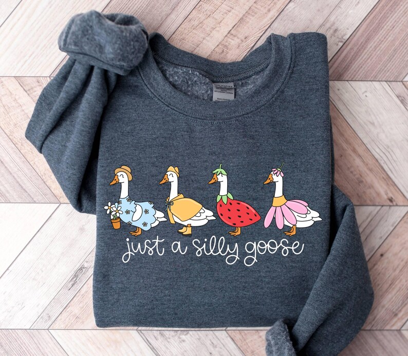May include: Dark gray sweatshirt featuring four cartoon geese dressed in whimsical outfits, including a floral dress, a yellow cape, a strawberry costume, and a pink flower collar. The text "just a silly goose" is written in cursive below the geese.