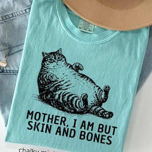 以下が含まれることがあります： 猫のグラフィックと「MOTHER, I AM BUT SKIN AND BONES」の文字が入った水色のTシャツ。「chalky mint」色で、サイズはXLです。