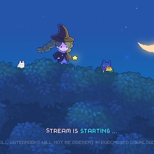 4x Cute Animated Twitch Stream Screens Pack~ 8bit Pixel Art Animation ~ Starting, Ending, Be Right Back, Stream is Offline ~ Hometown Witch