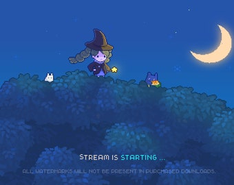 4x Cute Animated Twitch Stream Screens Pack~ 8bit Pixel Art Animation ~ Starting, Ending, Be Right Back, Stream is Offline ~ Hometown Witch
